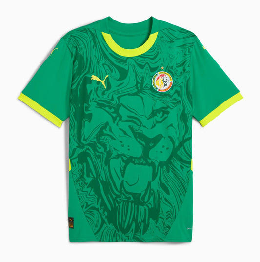 Camiseta Senegal 2nd Kit
