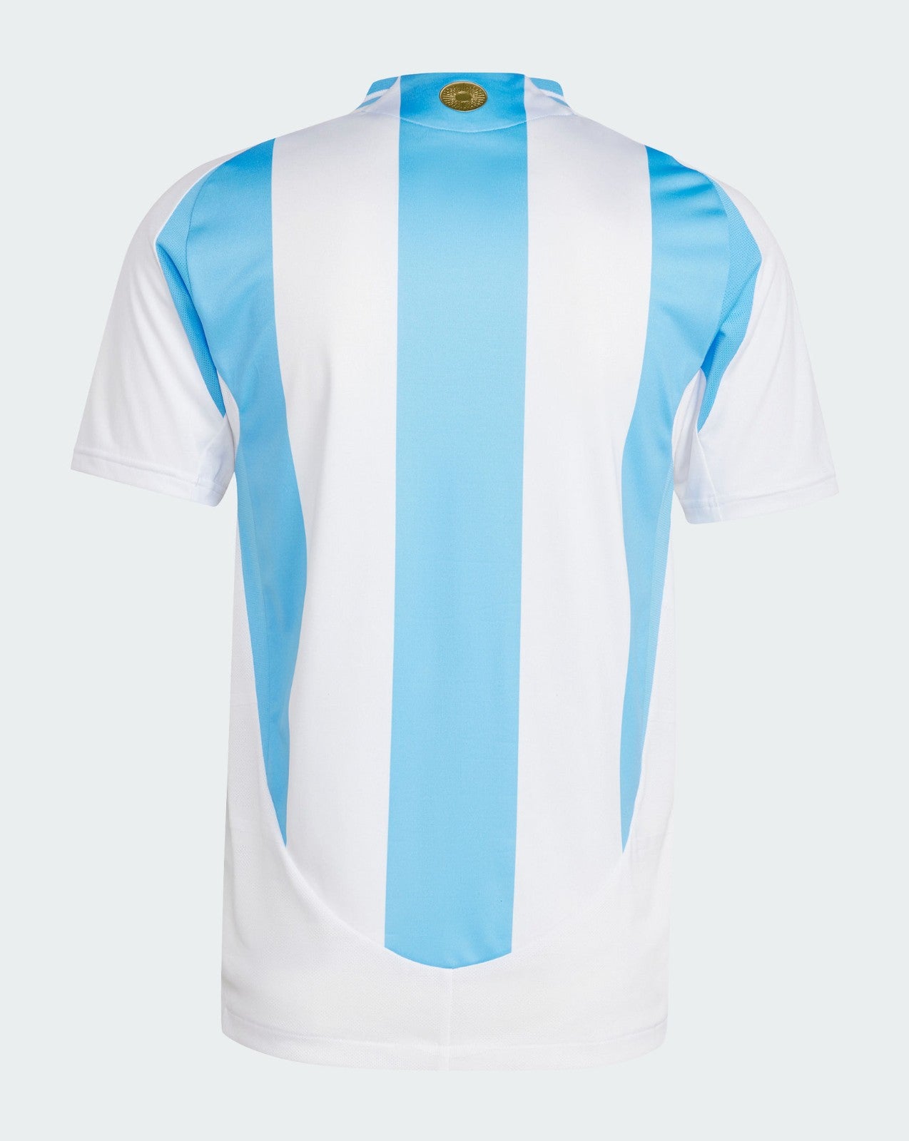 Camiseta Argentina 1st Kit